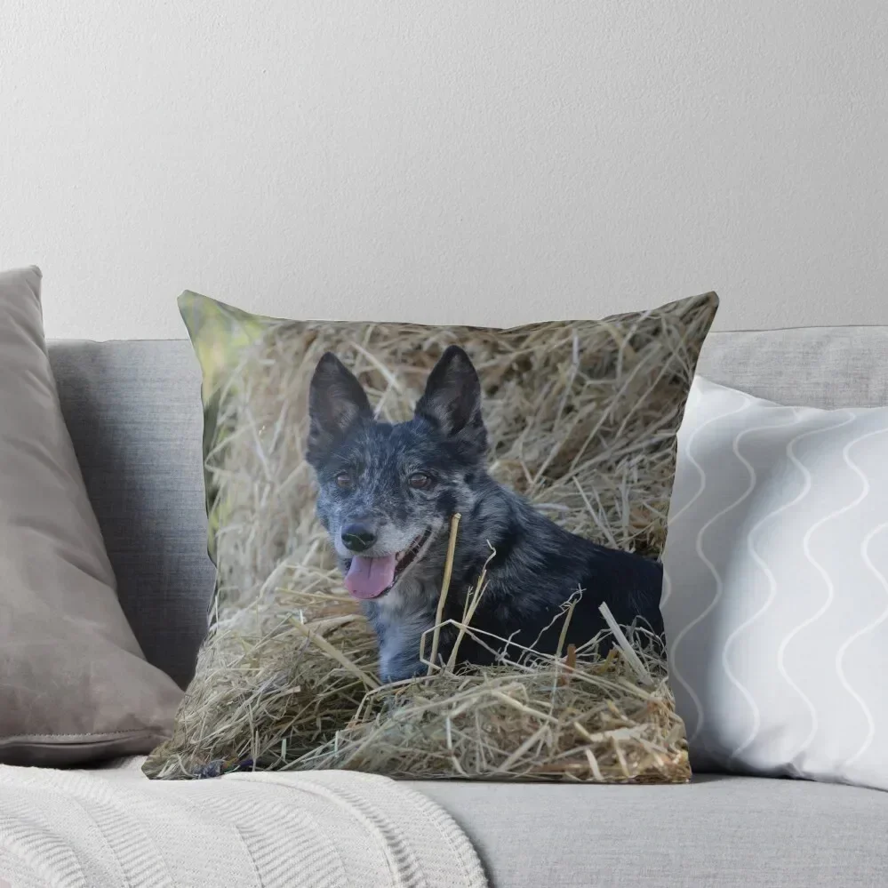 

Tilda Throw Pillow Luxury Sofa Cushions Decorative Sofa Cushions Pillowcases For Pillows Cushions For Decorative Sofa pillow