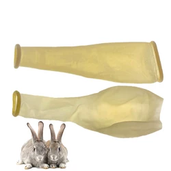 Breeding Rabbits Fresh Sperm Semen Collection Rubber Tubes Artificial Insemination Mating Farm Tools 10PCS