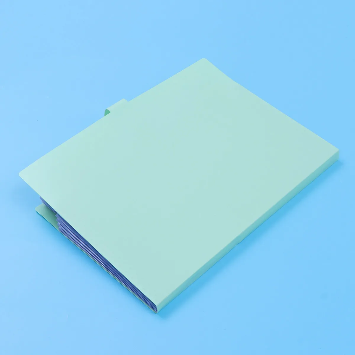 

Папка-органайзер на 5 карманов с застежкой-кнопкой, формат А4, для документов, для дома, офиса, школы