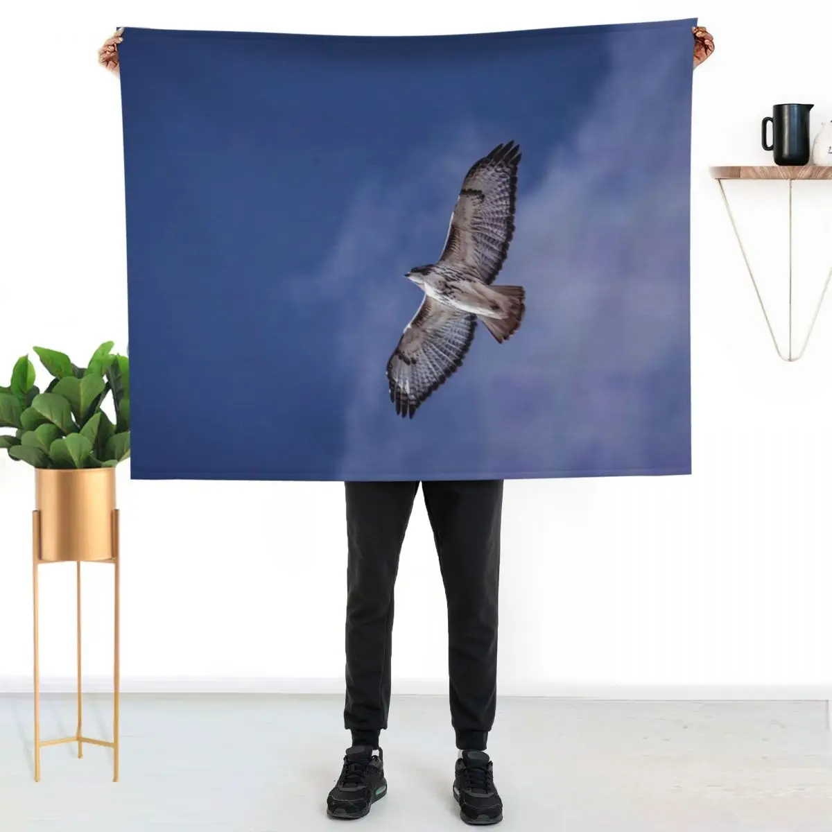 Red-Tail Hawk Soaring High Throw Blanket Quilt Thermals For Travel for babies Soft Plaid Stuffeds heavy to sleep Blankets