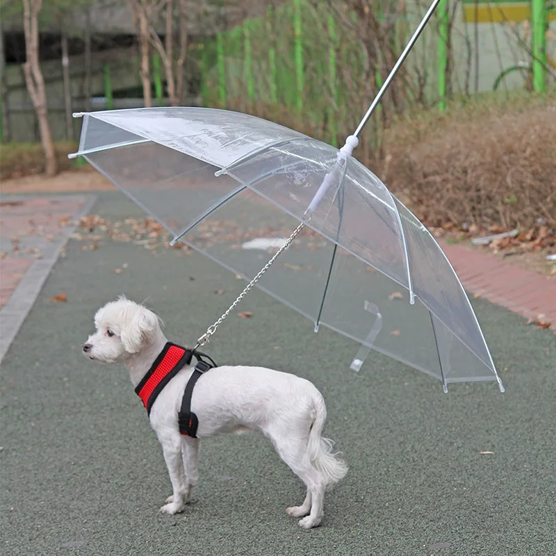 Pet products Transparent pet umbrella Dog walker Portable anti-spill dog stainless steel retractor when going out in the rain