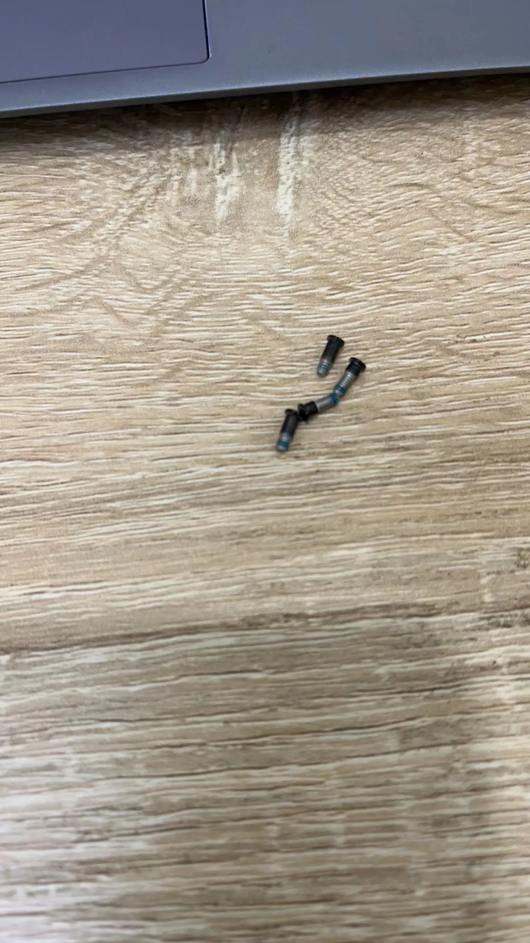 New Laptop Bottom Case Screws For MacBook air A2941 A2681 Screws