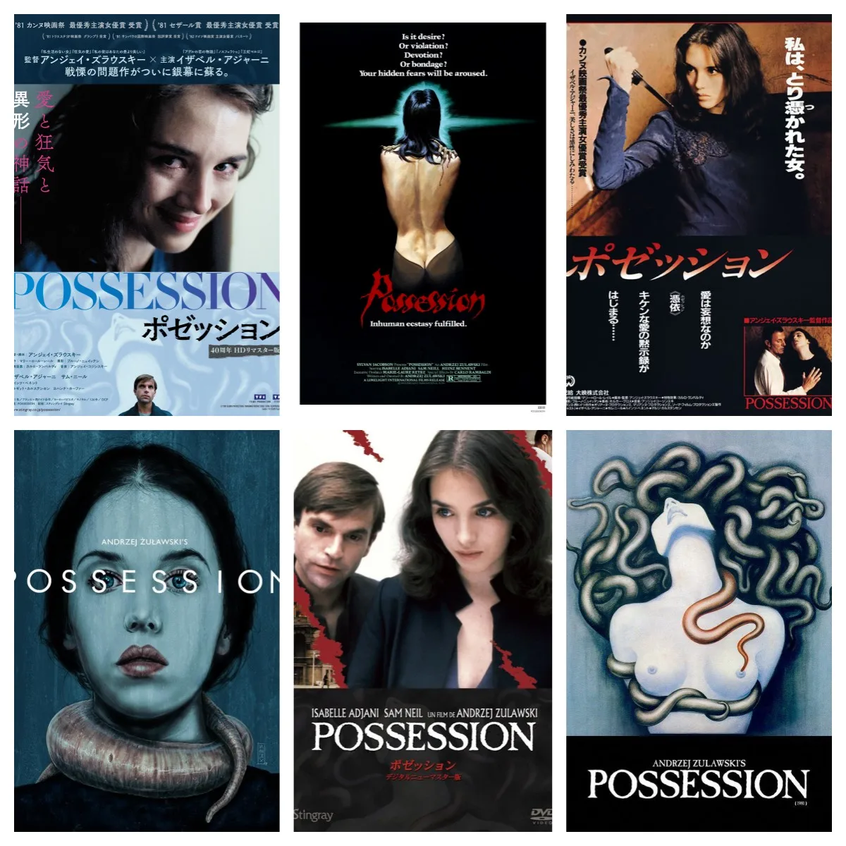 Film Possession 1981 Movie Poster Wall Art Canvas Painting Home Decor For Bedroom