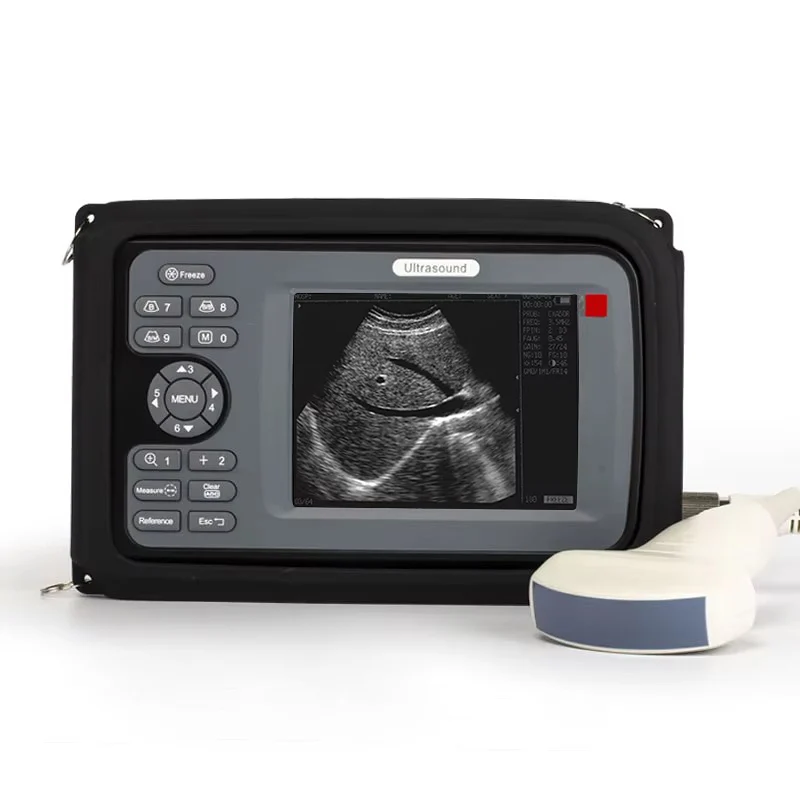 

Animal Veterinary Ultrasound Portable Equine Handheld Device Machine