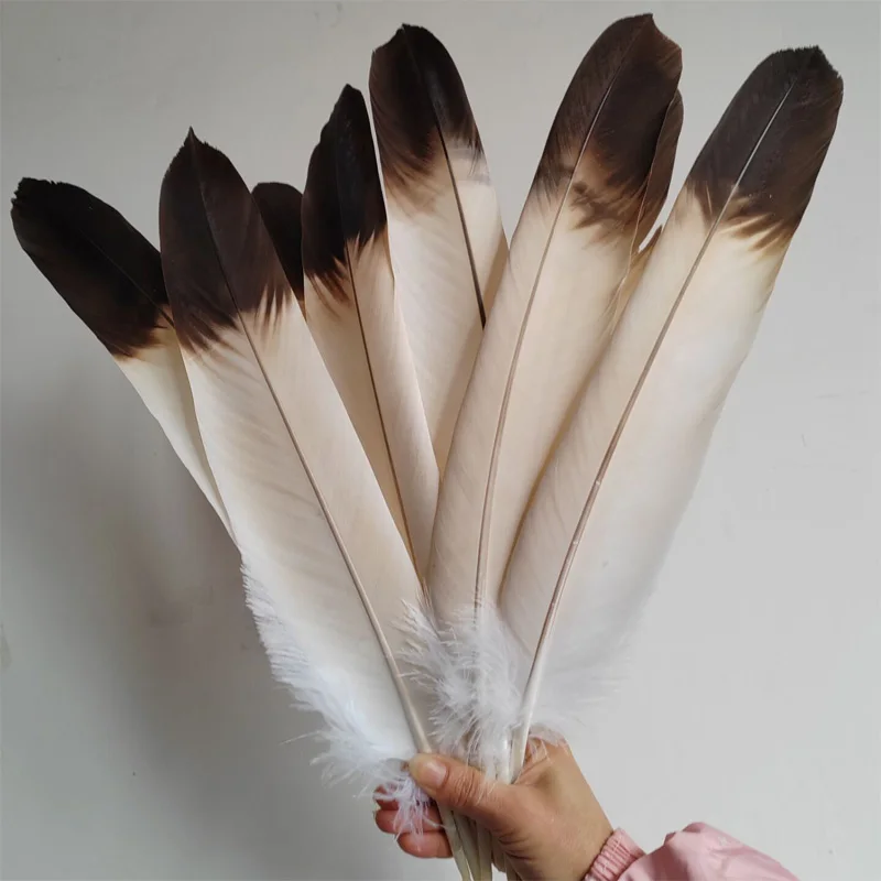 

10Pc/Lot 40-50cm Natural Beauty Eagle Quill Feathers Large Bird Hawk Feathers Decorative diy Stage Performance
