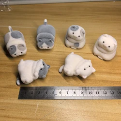 J.DREAM Japan Gashapon Cute HMA Flocking Cat Figure Anime Miniature Items Capsule Toys Kawaii Model Girls Gift