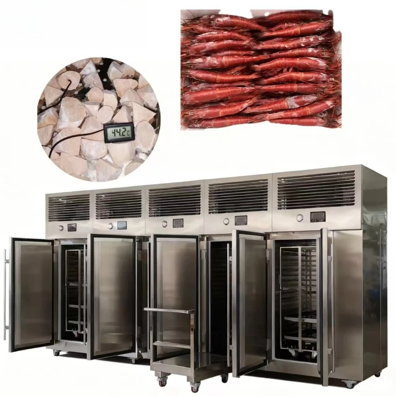 Customized Quick Blast Chiller Seafood Freezing Equipment for Chilling and Freezing Process Refrigeration Stainless Freezer