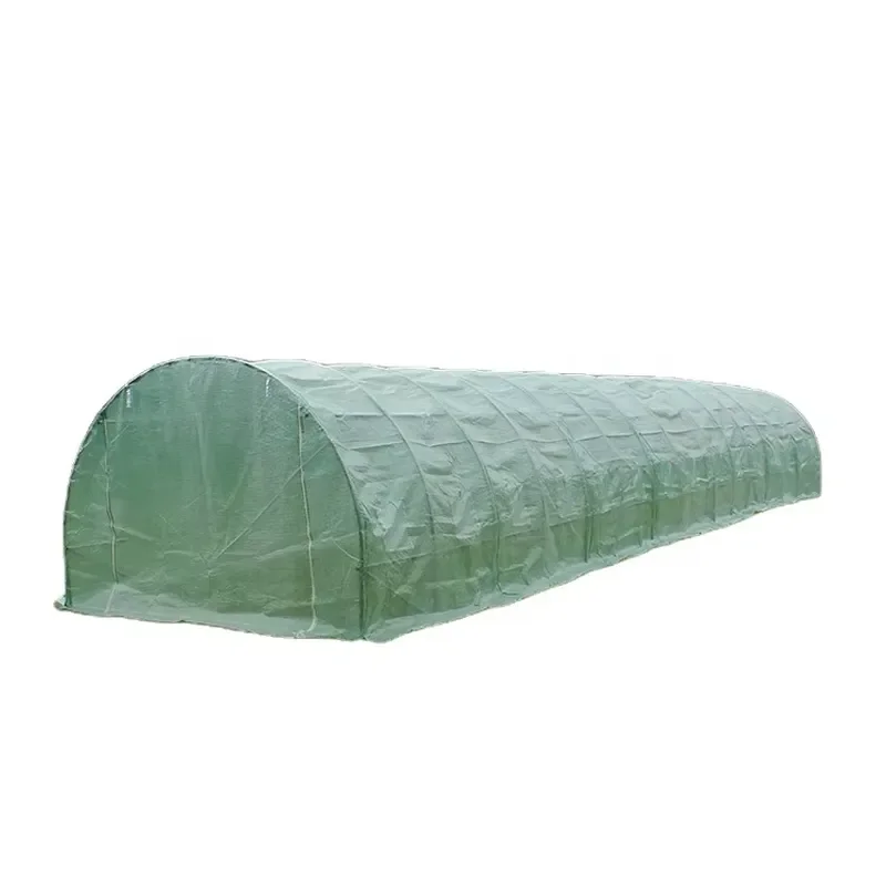 Winter Vegetable Single Span Greenhouse Tunnel with Hot Galvanized Steel Frame and Plastic Sheet for Garden