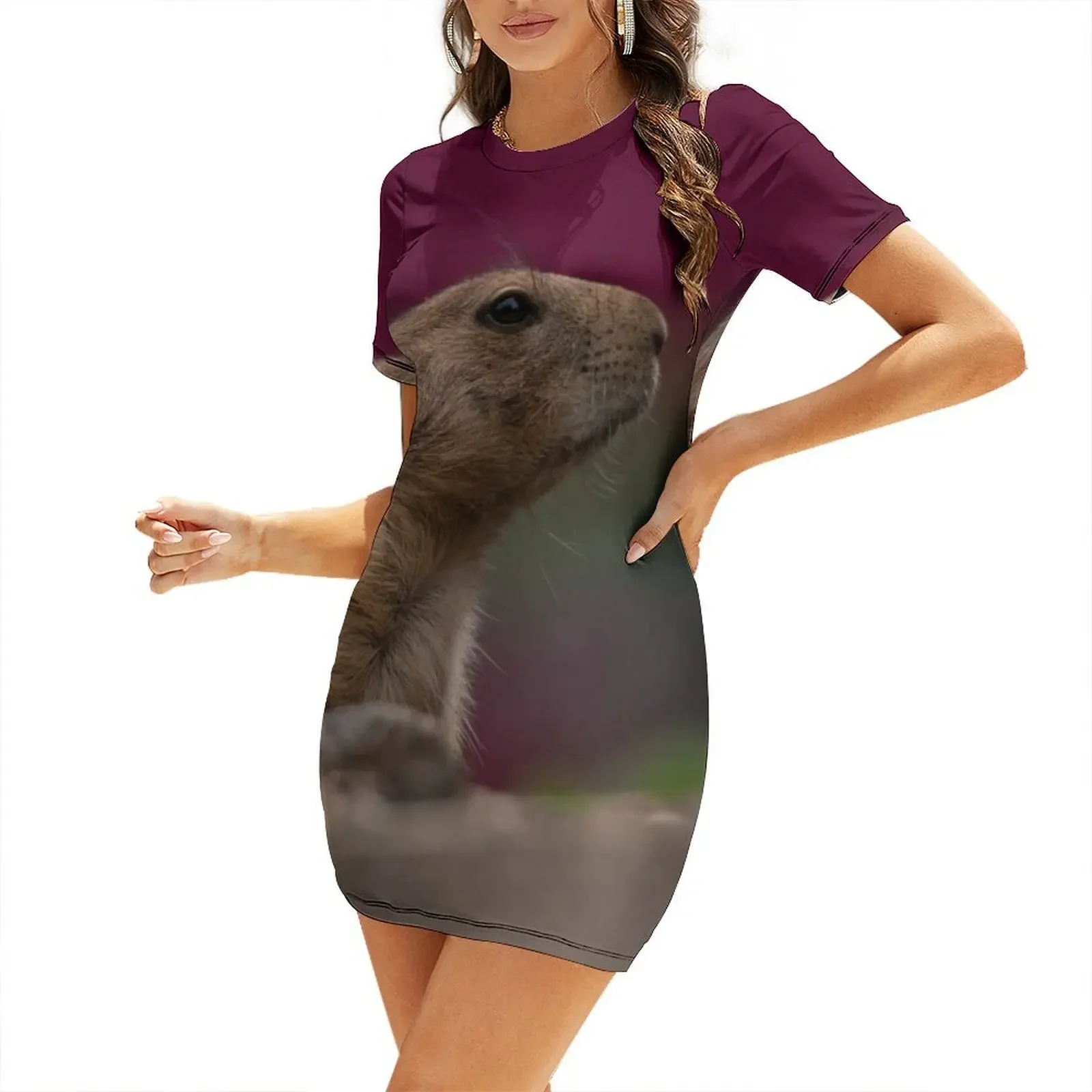 Robe à manches courtes Prairie Dog, robe sexy de luxe pour femme, robe de soirée pour mariage, robes courtes sexy et audacieuses pour femmes, été