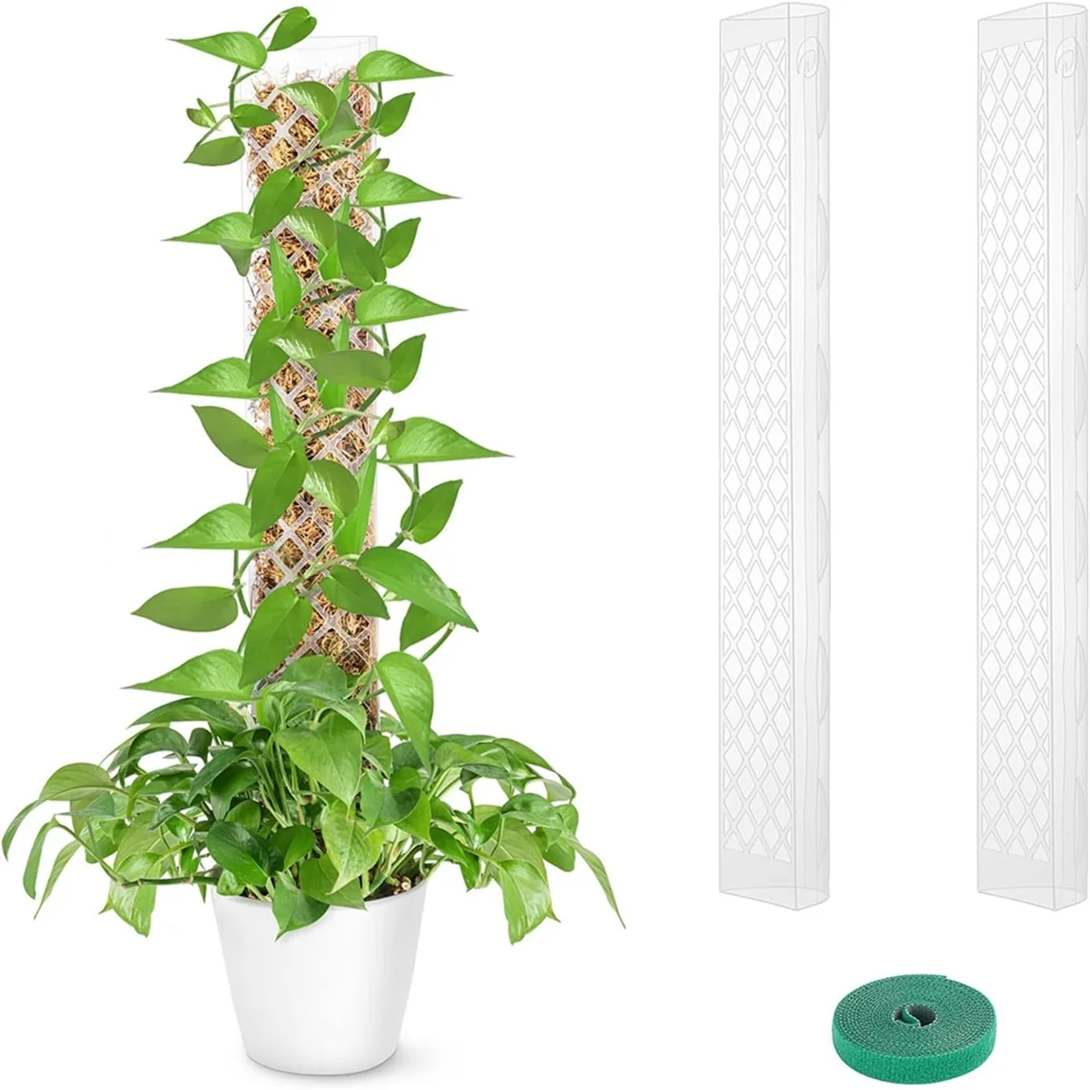 4 Packs Plastic Moss Pole for Plants Monstera, Stackable Plant Support for Indoor Climbing Plants, Clear Plant Poles