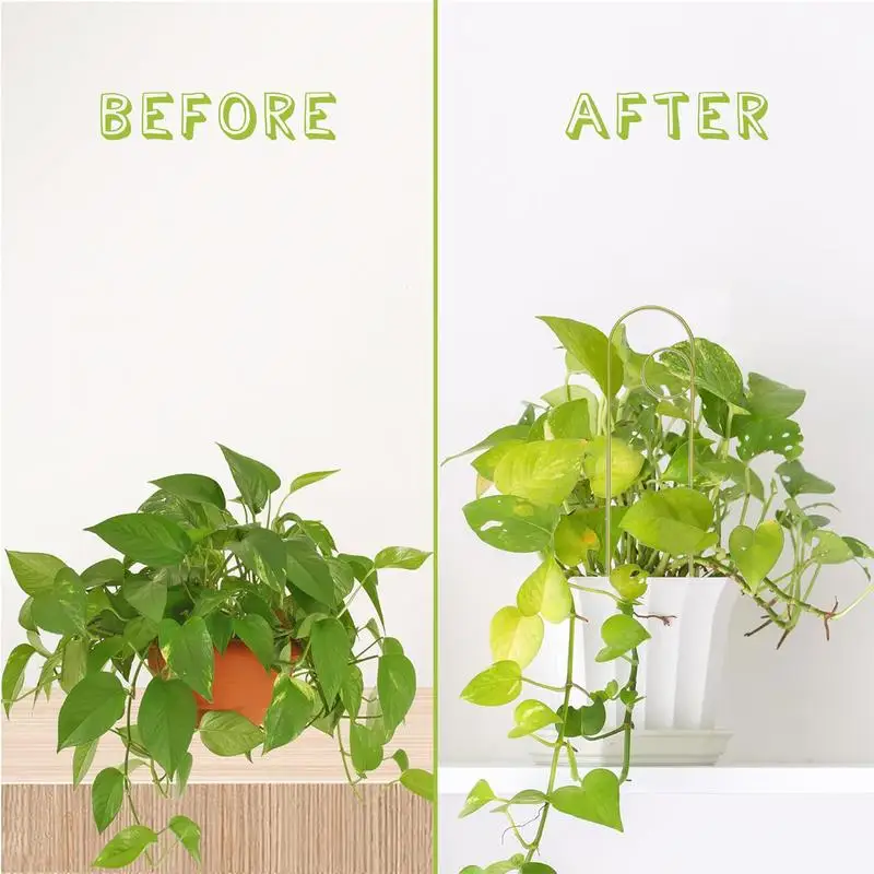 Enrejado de plantas, enrejado de Metal para plantas trepadoras, soporte de arco, jaulas, estacas, decoración para fiestas, invernaderos exteriores, boda