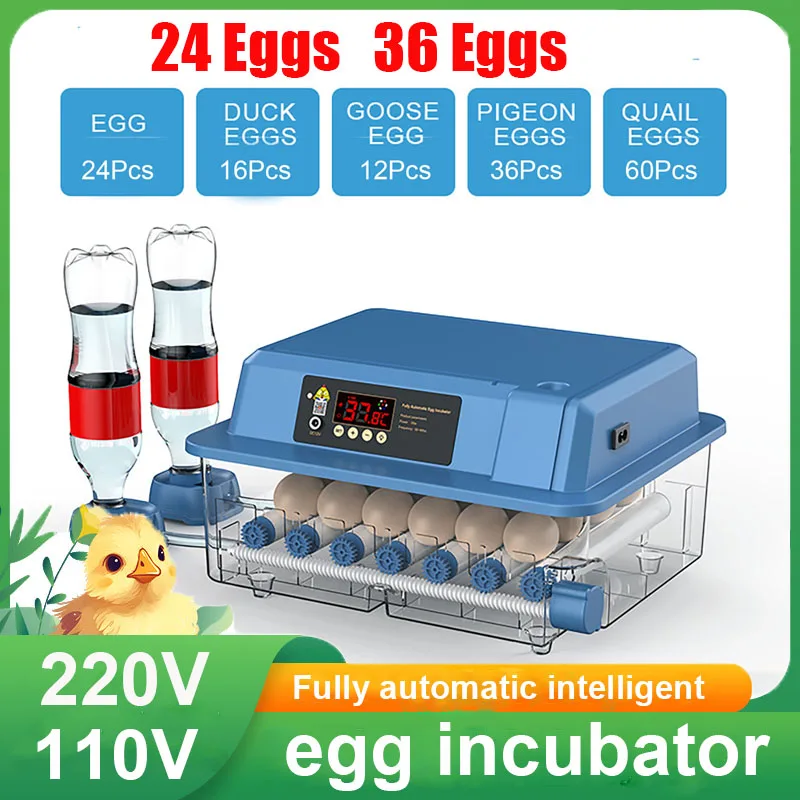 24Eggs Intelligent Egg Incubator 36 Eggs Home Incubator Automatic Egg Turnover Adjustable Temperature & Humidity Double Electric