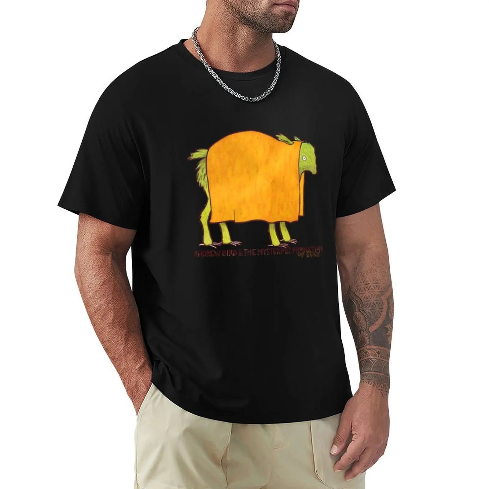 Andrew Bird & The Mysterious Production Of Eggs T-Shirt Simple Graphic Design T-Shirt