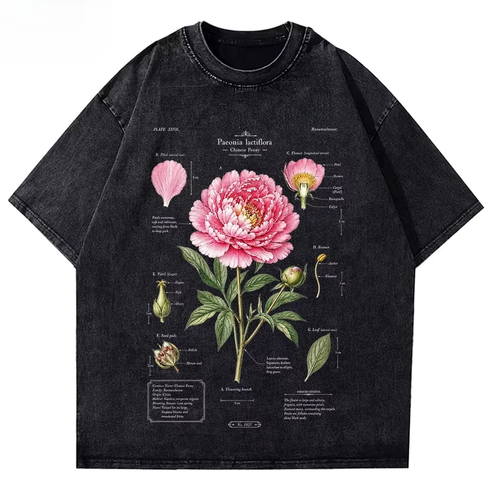 Washed Vintage Peony Botanical Graphic T Shirt Retro Flower Science Illustration Print Unisex Cotton Short Sleeve Top Hot Sale