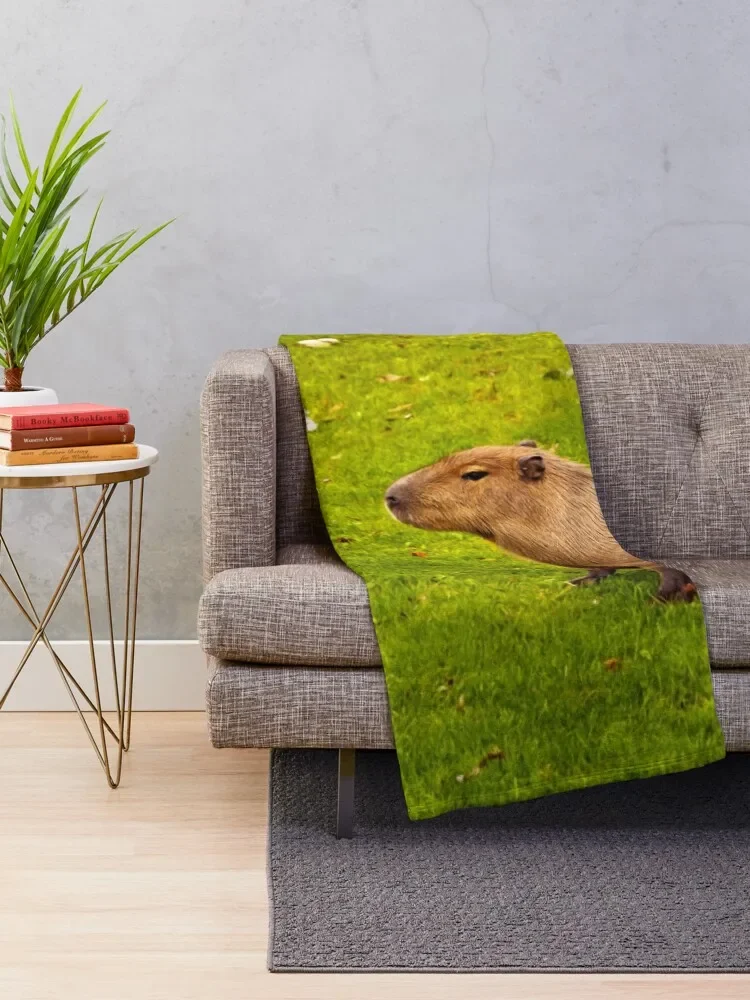 Capybara Throw Blanket Flannel Bed anime Blankets