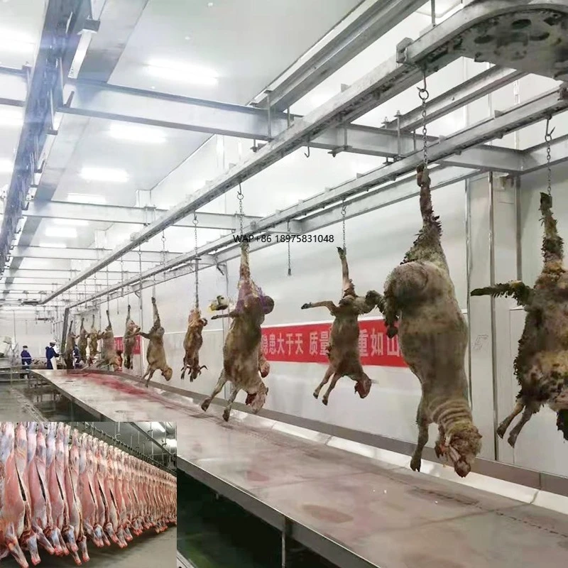 Complete cattle and sheep slaughterhouse butcher equipment for goat slaughter machines in meat processing plants
