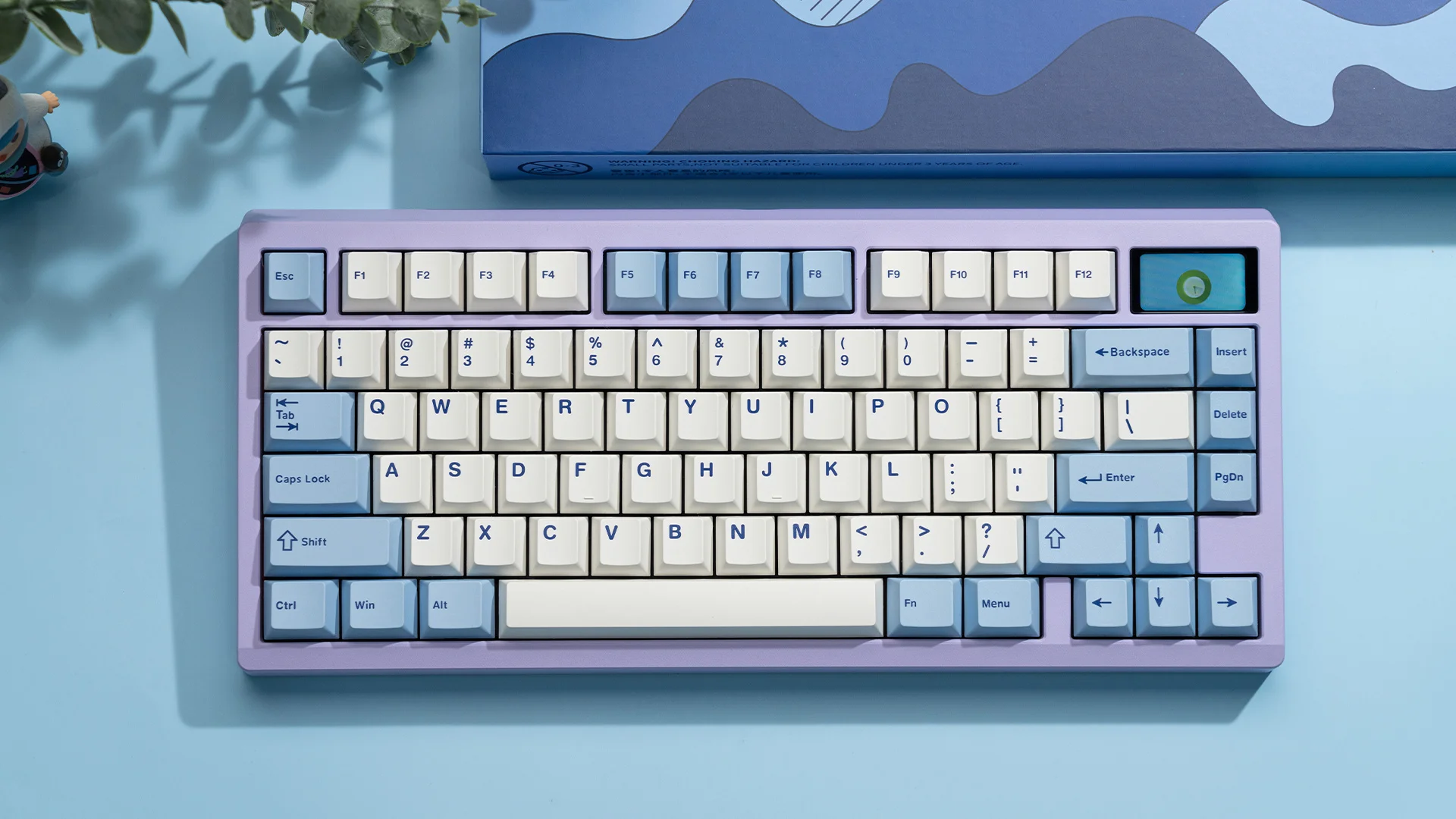 Chilkey 223 toetsen WS Doubleshot PBT Keycaps Set voor mechanisch toetsenbord, PBT Custom Keycaps Set, 75%, 65%, 60%