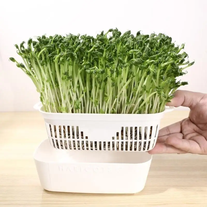 Plastic Bean Sprouting Basket Sprouter Tray Space Saving Bean Sprout Grower Pots C5AD