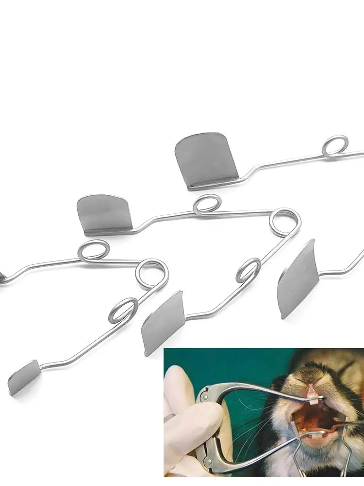 Dentaler Räumatschneider für Tiere, Bukkaler Wangendilatator, Draht-Mundsperrer, Feder, für Chinchillas, Kaninchen, Tierärzte, Mundhöhleninstrumente, Zubehör – Detail 1