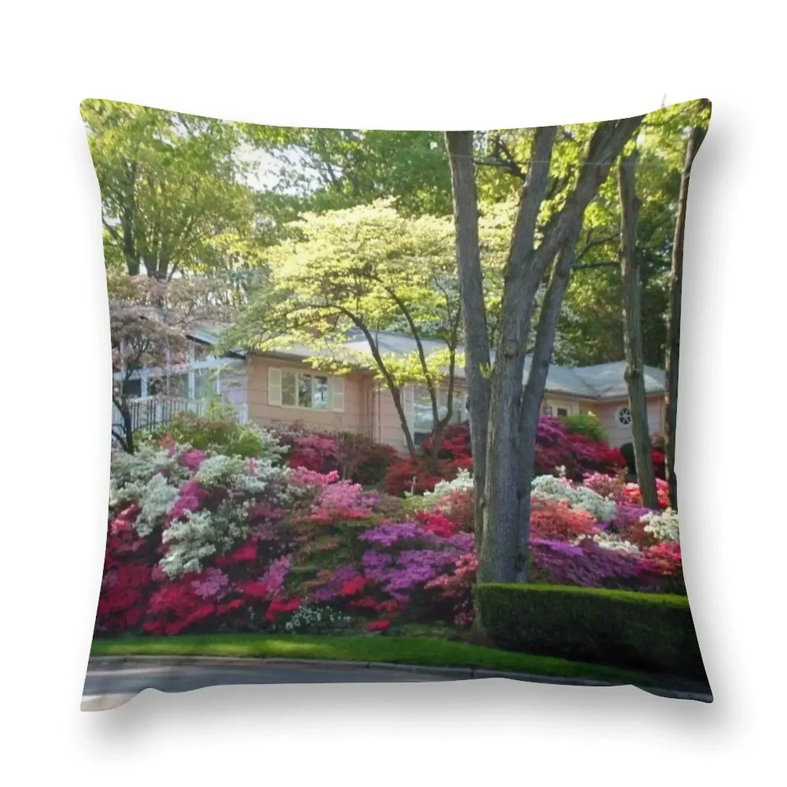 Azalea House, Alps Road, Wayne NJ Throw Pillow Pillowcase Cushion Decorative Cushions For Living Room pillow