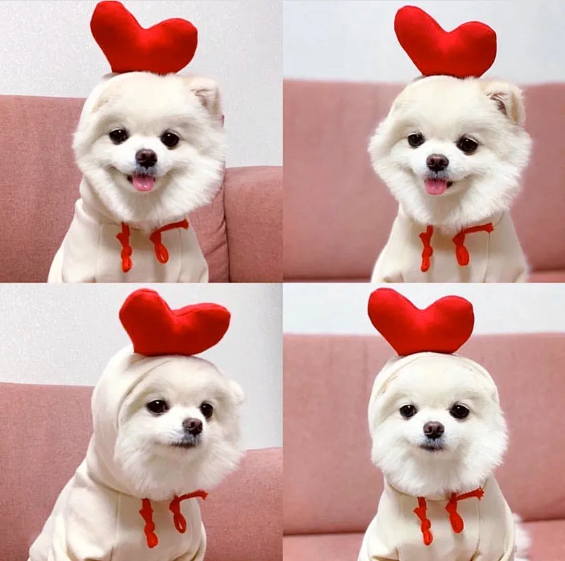 Winter Cartoon Pet Clothes Cute Heart Dog Cat Hoodie Sweatshirt for Small Dogs French Bulldog Pug Coat Jacket Dogs Pets Clothing