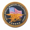 V00246