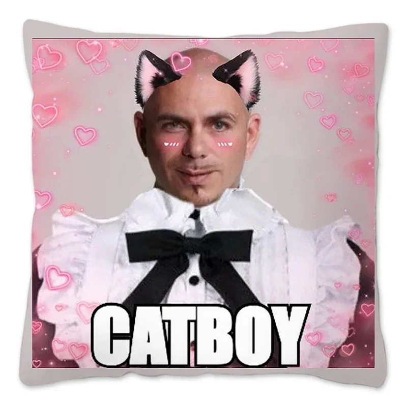 Mr 305 Pitbull Worldwide Hippie Pillow Case Home Decorative Resuable Cushion Cover for Sofa Livingroom Polyester Pillow Cover