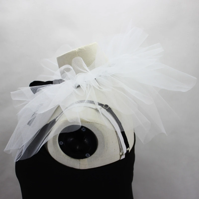 Womens Vintage Mesh Ruffle Faux Kraag Victoriaanse witte nek Ruff