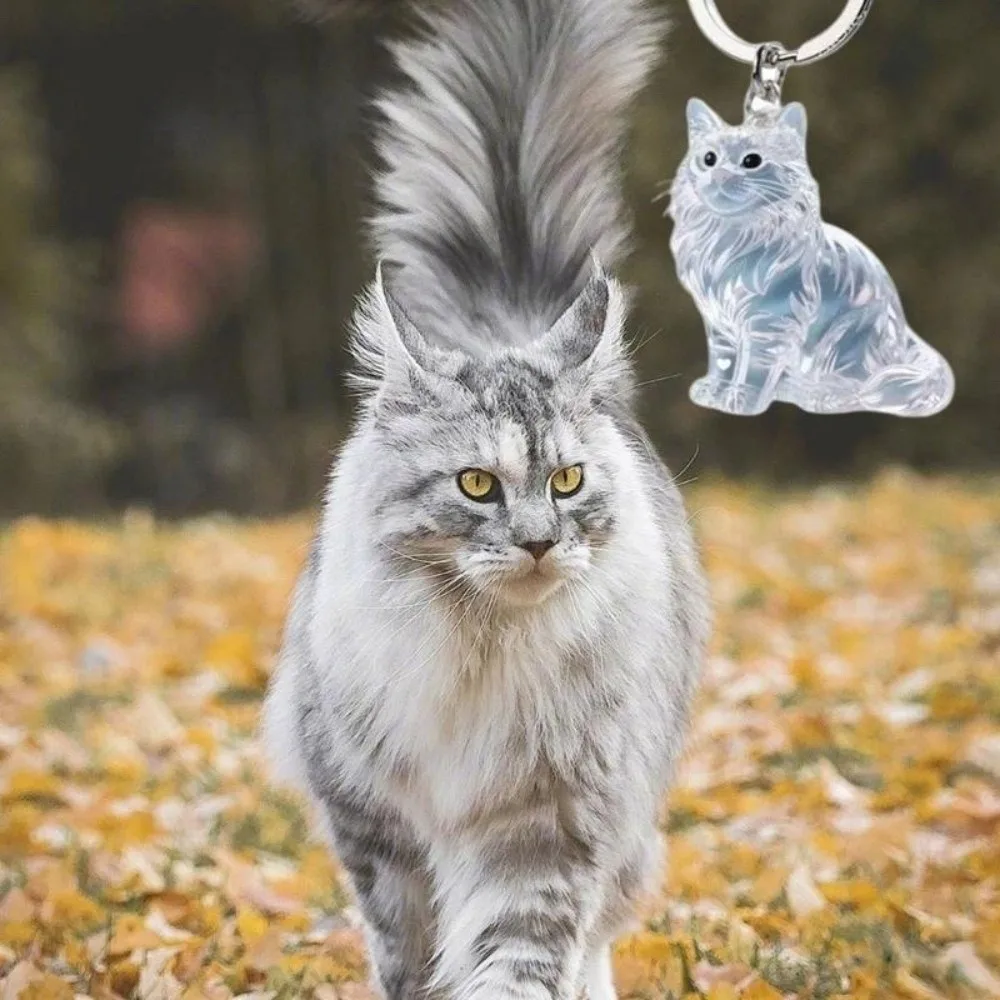 New Transparent Cat Hair Storage Box Bag Charm Capsule Shape Pet Hair Memorial Keepsake Maine Dog Fur Container for Pet Lovers