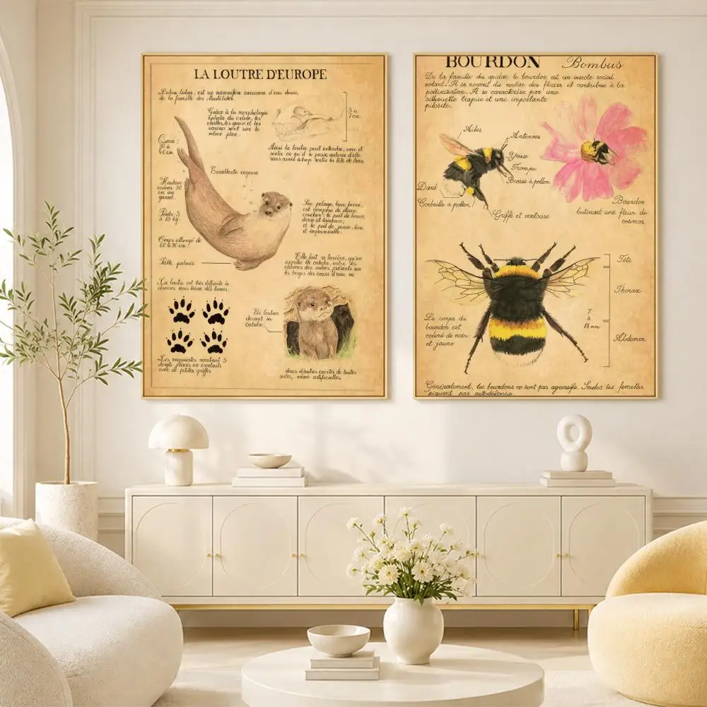 Bat Turtle Deer Wildlife Anatomy Laboratory Institute Poster Room Home Decoration Interior Wall Art Printing Garage Posters Gift view 2
