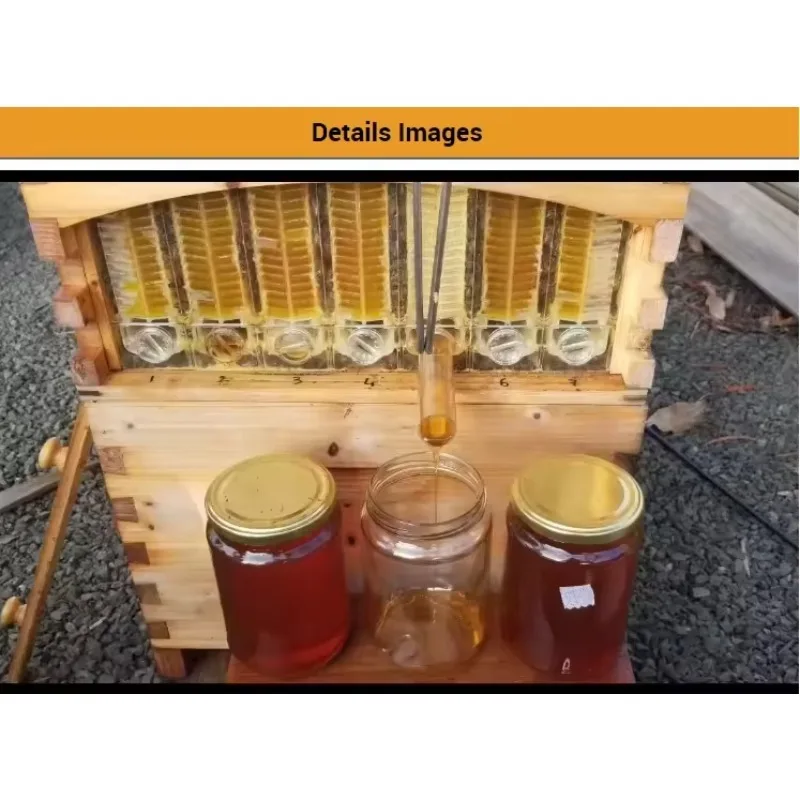 Factory Customized Automatic Wooden Bee Hive Box Beehives Farm Fir Cultivated Beehives Flow Hive Honey Bees