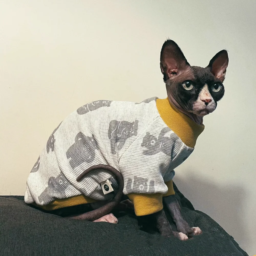 Cotton Base Layer Shirt for Cat Clothing Yellow Cartoon Bear Waffle Spring Coat for Sphyinx Cat  Small Dogs Sweatshirt in Winter