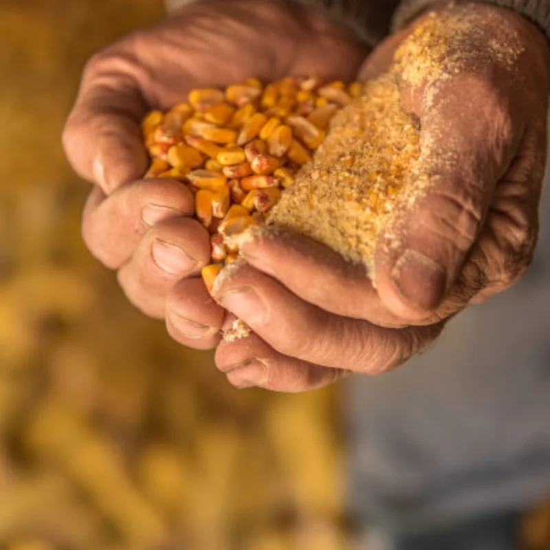 

Metal Front/Rear Anti-Collision Bumper for 1:10 RC Crawler Car TRXS TRX-4 Axial SCX10 SCX10-II 90046 90047