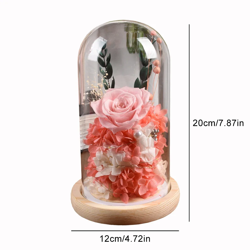 Preserved Rose Gift for Women Long-Lasting Real Roses Light Up Eternal Flowers in Glass Dome Valentine\'s Day Anniversary Gifts