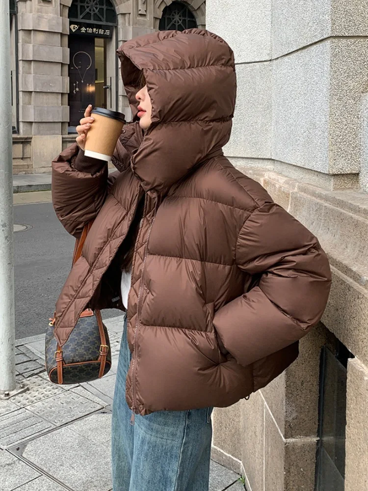 Hooded Women Parkas Overcoat Short Coat Solid Long Sleeve Zipper Turn Down Collar Straight Thick Office Lady Casual Winter 2025