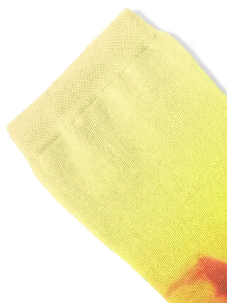 Sunset fire in the sky Socks fashionable hiking Wholesale gift Women Socks Men's