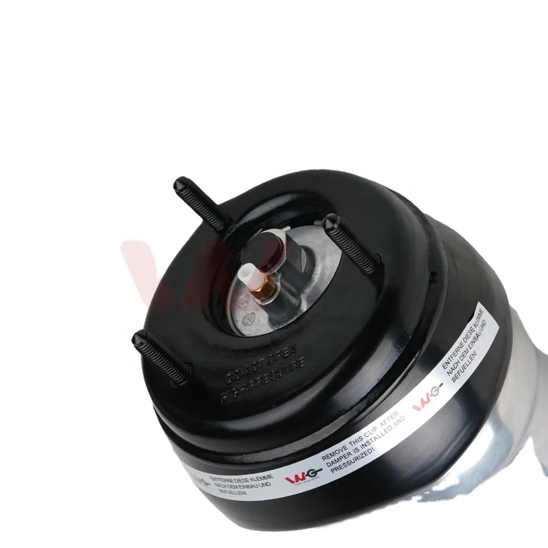

Air Suspension Strut Shock Absorber Front Left Without ADS Fit for W166, OE A1663204966