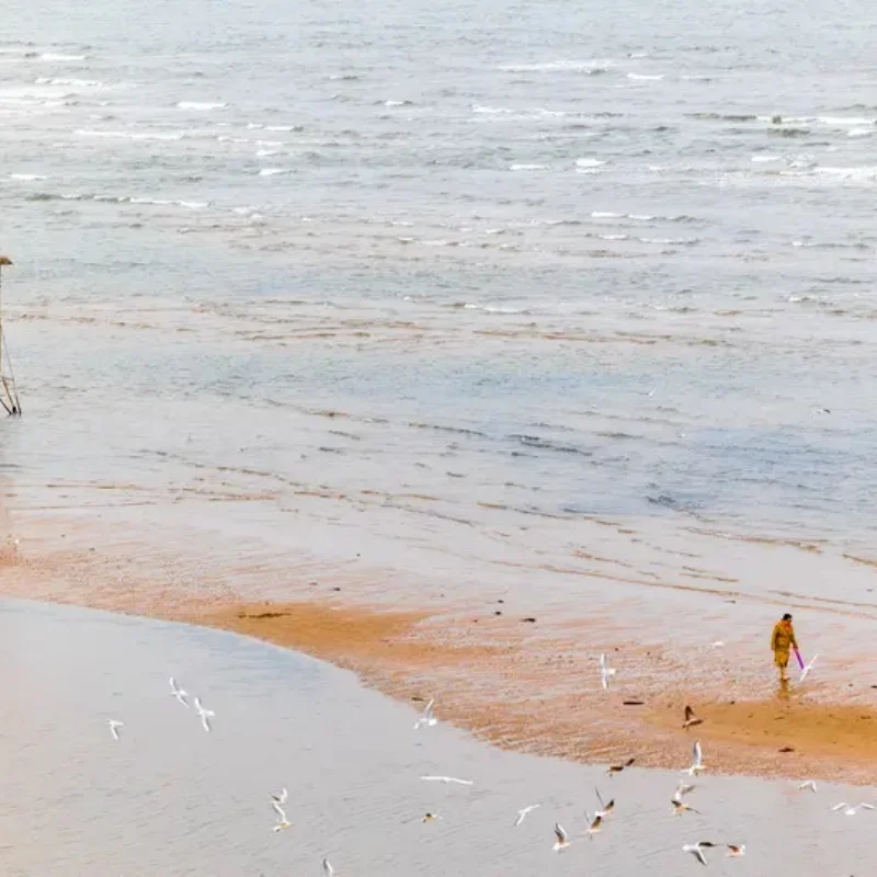 

iFlight BLITZ M10 V2 Mini GPS Integrate Compass Module QMC5883L Built-in TCXO crystal and farad capacitor for FPV Parts