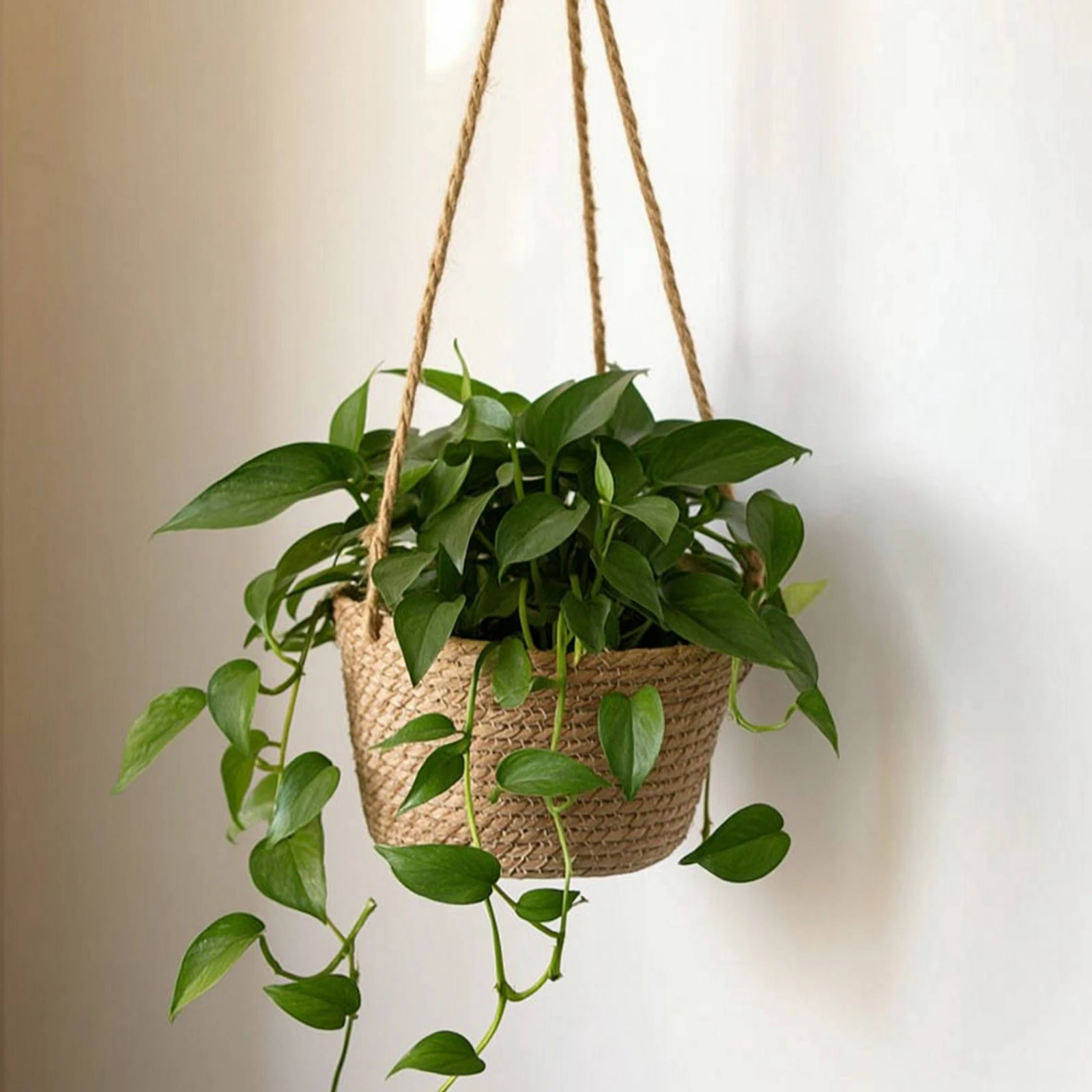 Hanging Planter Basket with Plastic Liner Decorative Hanging Planter with Liner Strong Lightweight for Balcony, Window