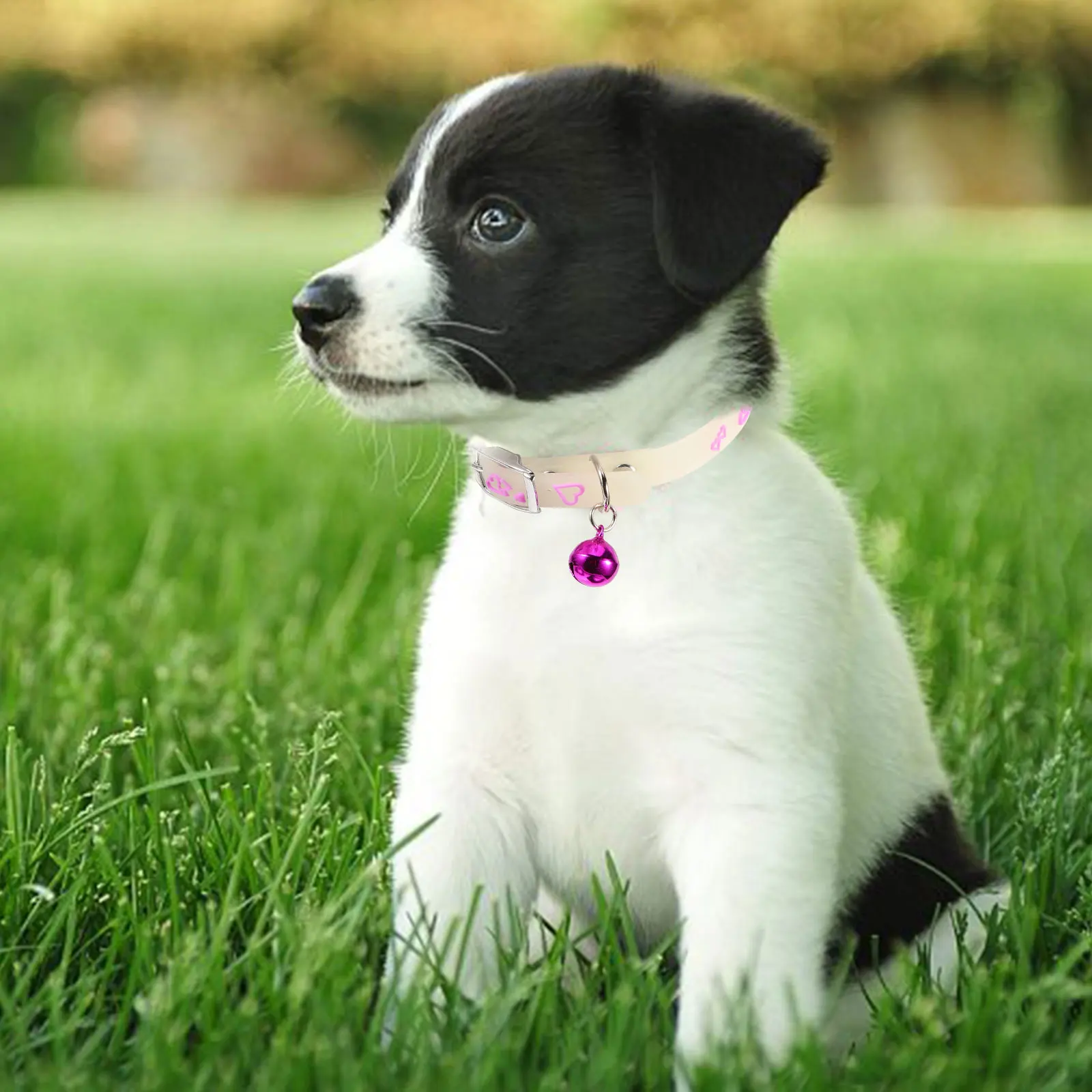 

5pcs Pet Dog Collar Adjustable Silicone Anti-Lost Decorative Outdoor for Small Medium Large Dogs Comfortable Durable
