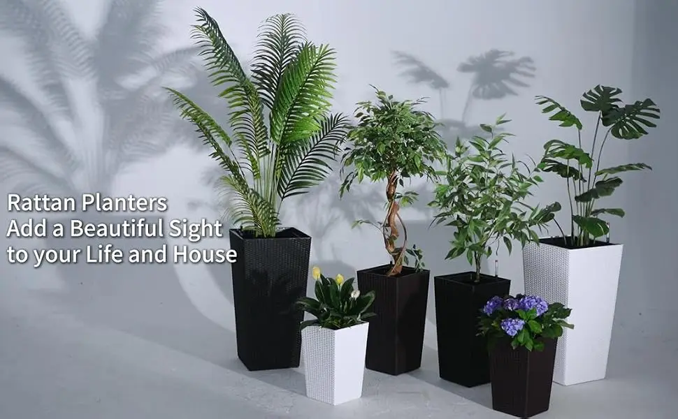 indoor planters for indoor plants
