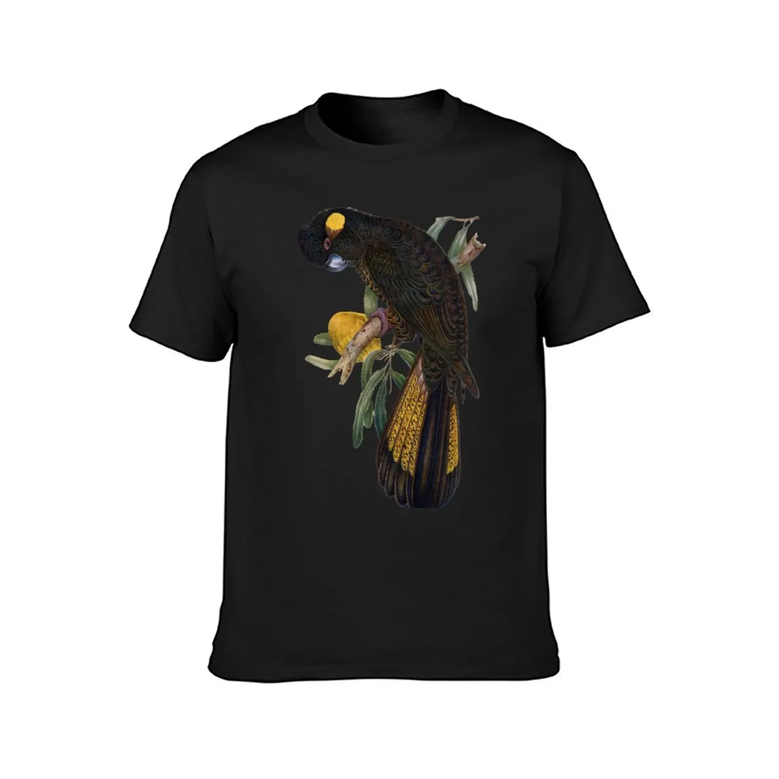 Yellow Tailed Black Cockatoo (Zanda funerea) T-Shirt plus size tops blacks mens tall t shirts