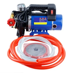 12V/24V/60V/72V/220V Plunger Agricultural Sprayer Electric High Pressure Pump Spraying Car Wash Irrigation Sprayer