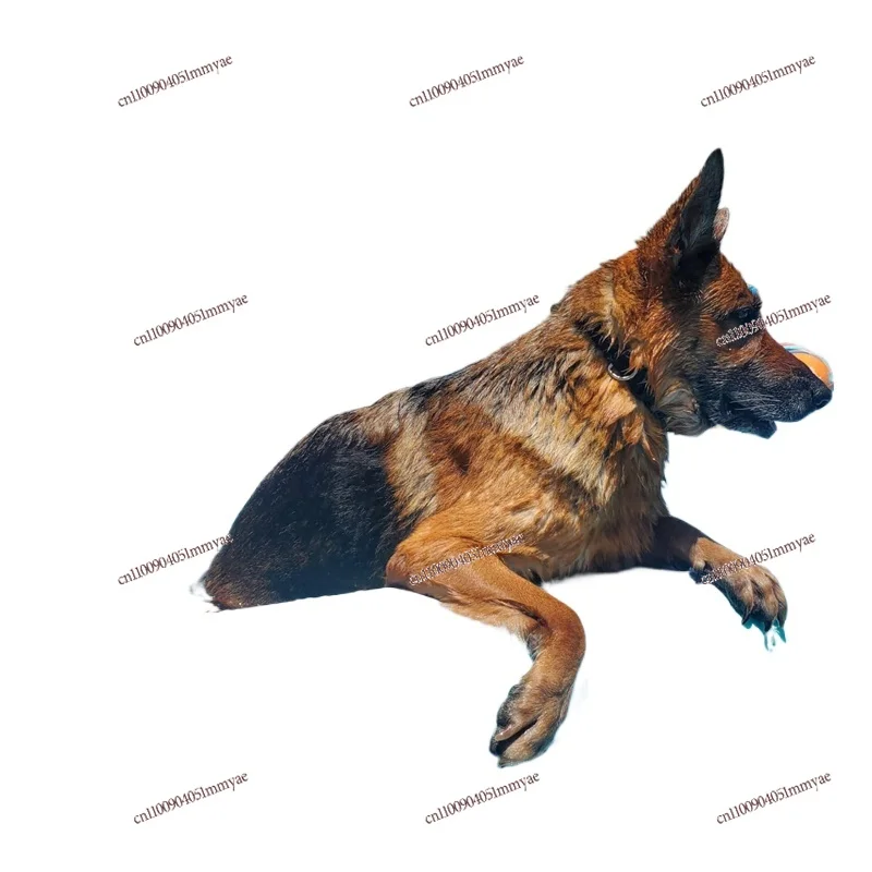

Inflatable Floating Pet Floating Board Dog Floating Mat Toy Slope Climb Bed Swimming Pool Rest Platform