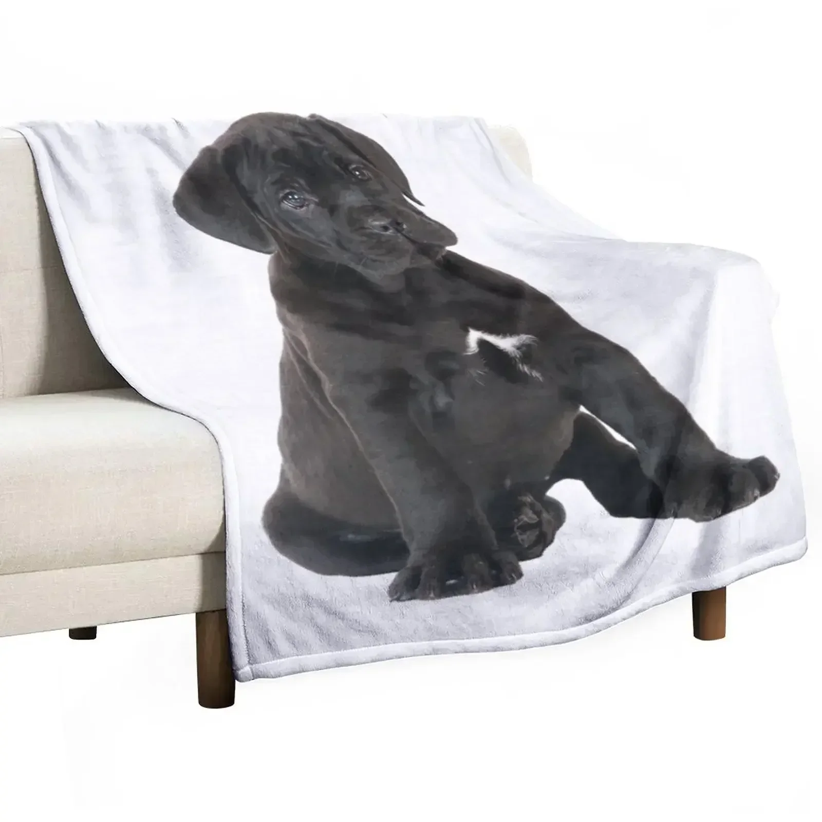 

Cane Corso Puppy Throw Blanket Warm Flannel Blanket for Couch Chair Bedroom