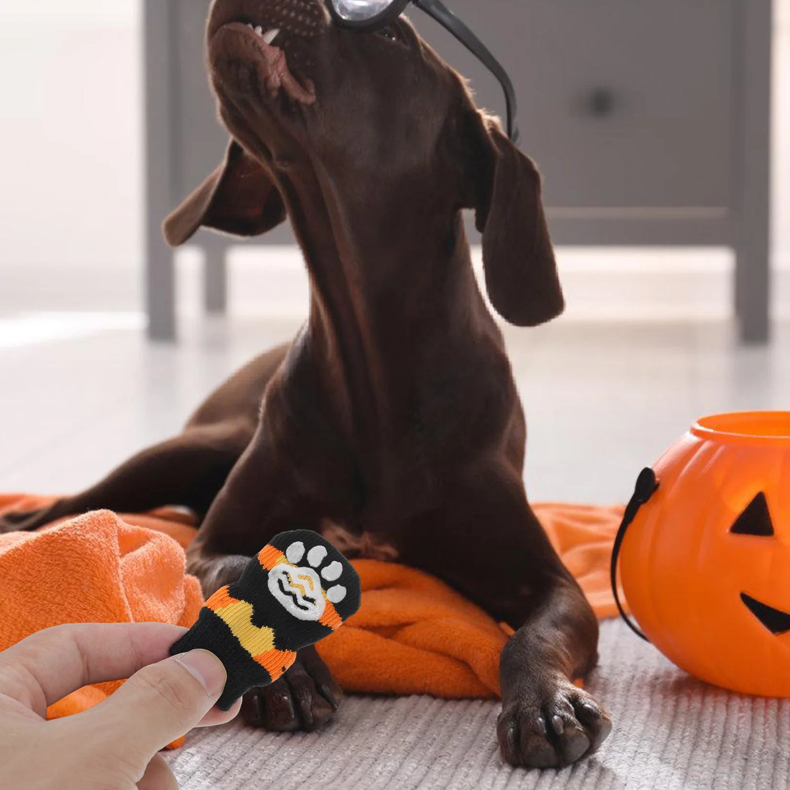 

Pet Pumpkin Anti-slip Cotton Socks Halloween Lovely Dog Water Proof Sockd Women's