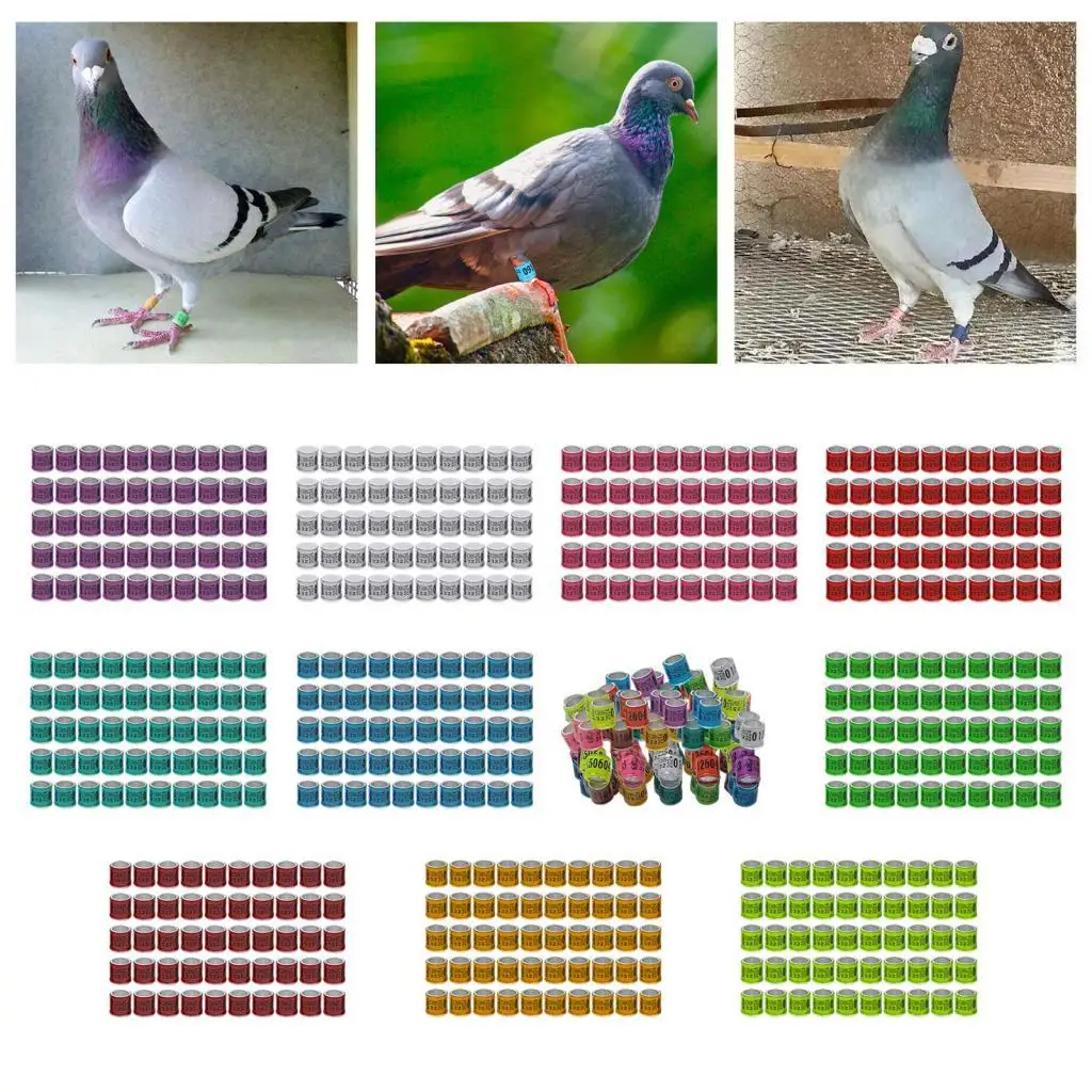 50x Reusable 2023 Aluminium Racing Pigeon Leg Rings 8mm Bird Foot Bands for Quail Bantam Finch Chicken Poultry Canary Lovebirds