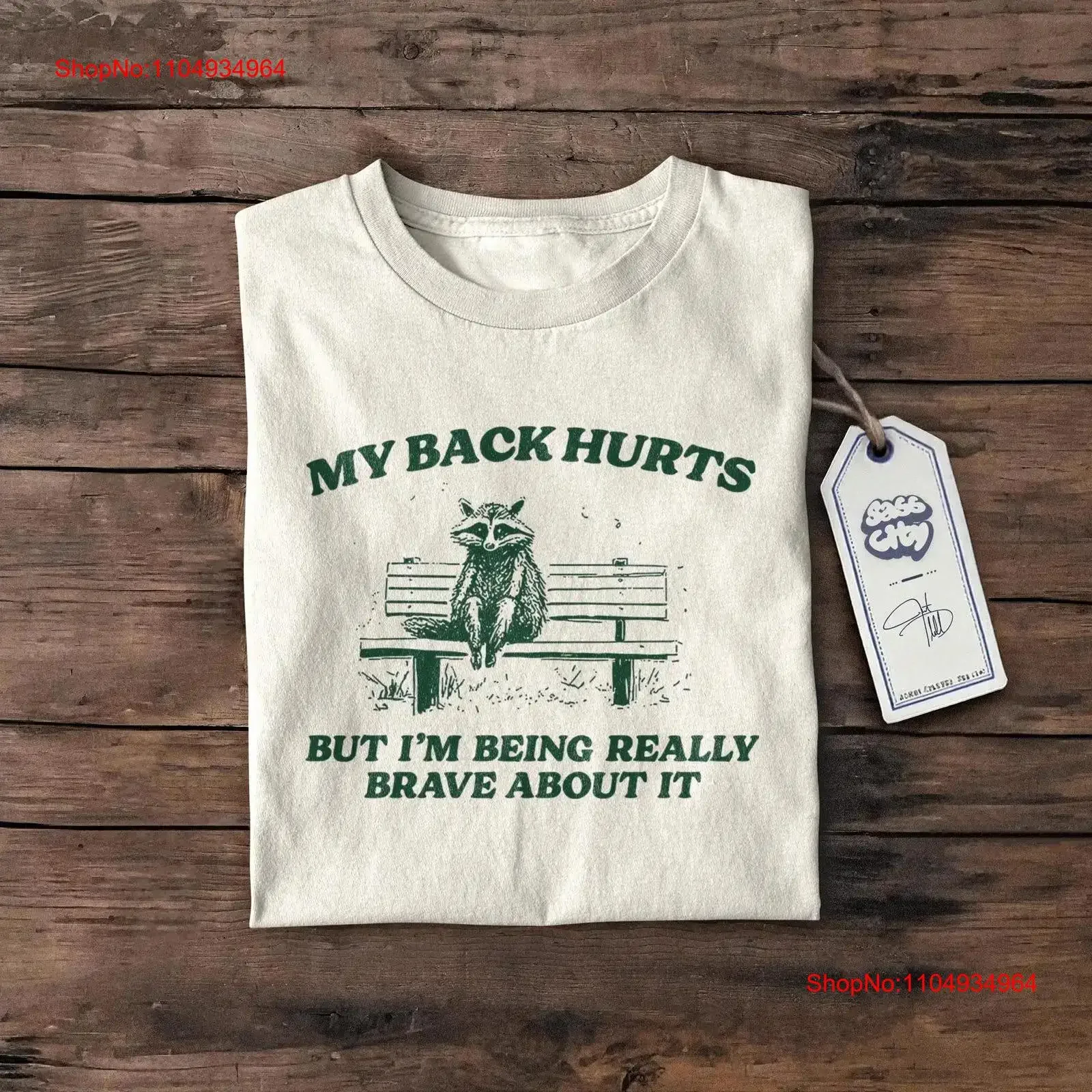 

My Back Hurts Here To Slay Racoon T Shirt Funny Gen Z Meme Its Fine Everything Is Ironic Trash Panda Silly vintage Washed