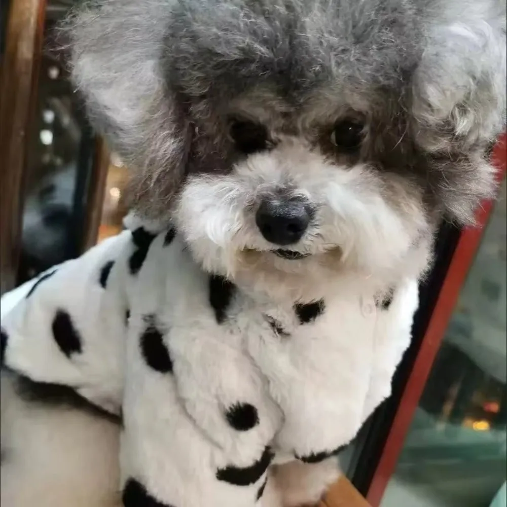 Thickened Fabric Dog Fur Coat Warm Lining Two Legs Design Dog Hoodie Black Color Net Red Style Cat Clothes Small Dog Breeds