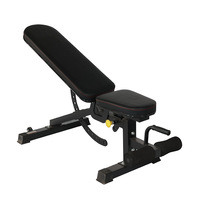 Hot Selling Dumbbell Bench Adjustable Sit-up Fitness Equipment Commercial Multifunctional Sit-up Board Fitness Chair